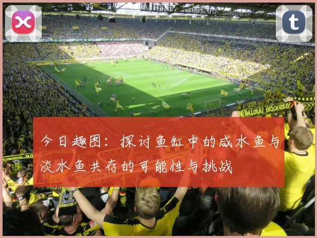 今日趣图：探讨鱼缸中的咸水鱼与淡水鱼共存的可能性与挑战