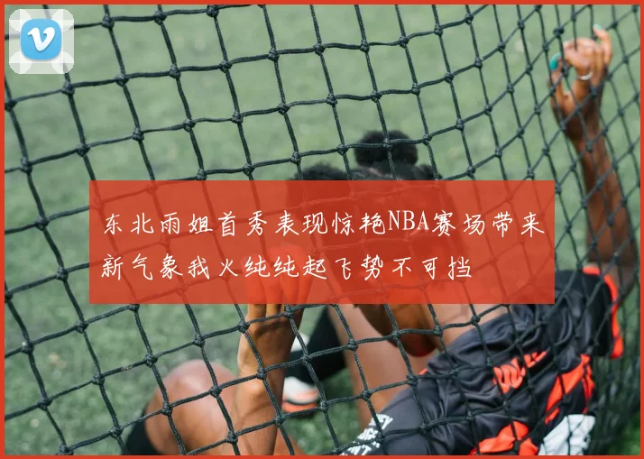 东北雨姐首秀表现惊艳NBA赛场带来新气象我火纯纯起飞势不可挡